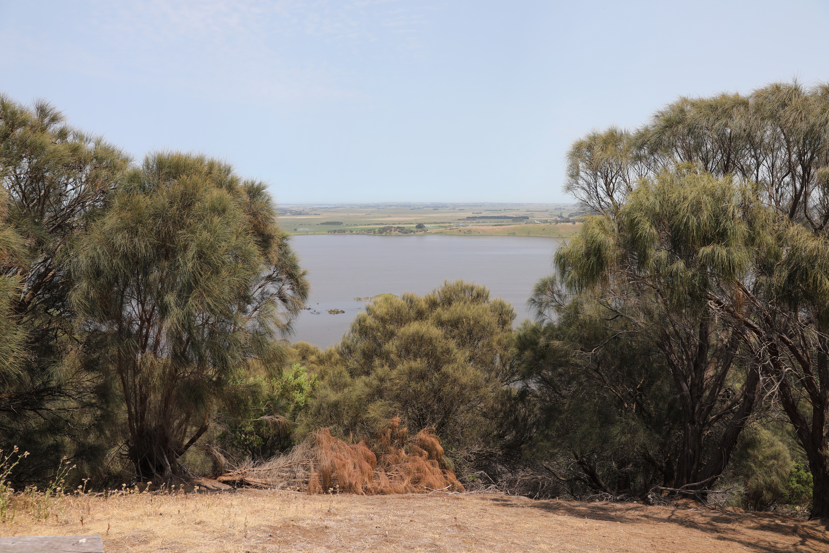 Tower Hill Wildlife Reserve